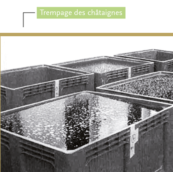 essai trempage